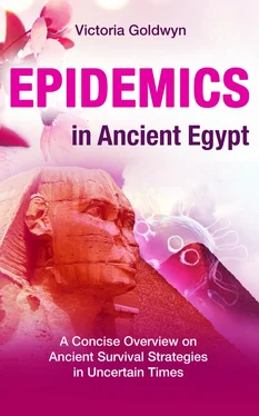 Victoria Goldwyn EPIDEMICS in Ancient Egypt обложка книги