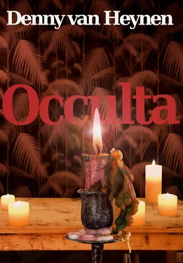 Denny van Heynen Occulta обложка книги