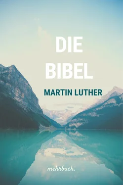 Martin Luthers Die Bibel nach Martin Luther обложка книги