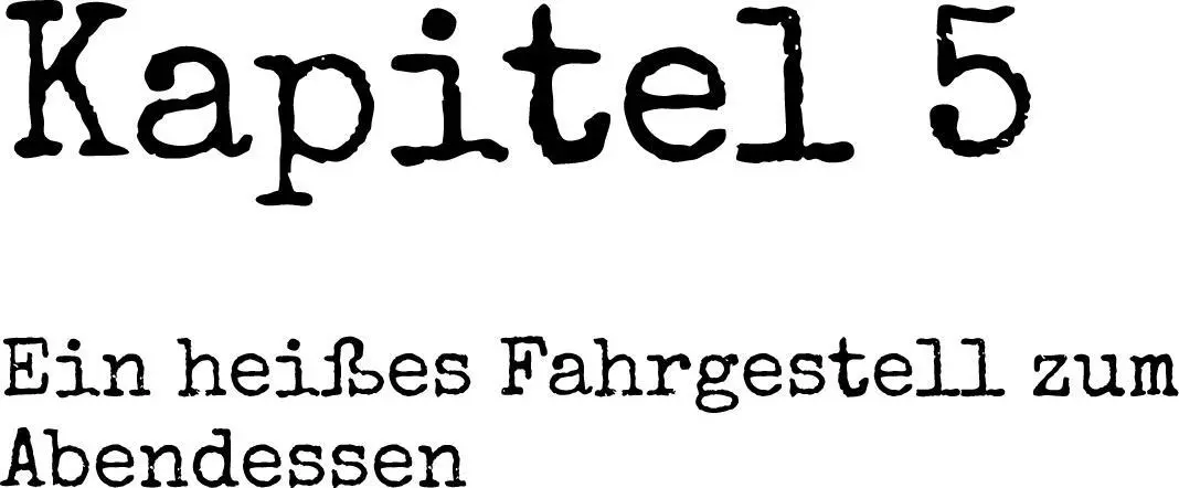 Theo konnte es noch immer kaum fassen Das heiße Fahrgestell vom Wiener - фото 10