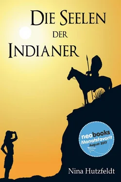Nina Hutzfeldt Die Seelen der Indianer обложка книги
