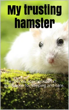 Thorsten Hawk My trusting hamster обложка книги