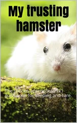 Thorsten Hawk - My trusting hamster