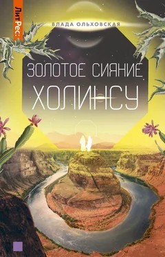 Влада Ольховская Золотое сияние Холинсу обложка книги