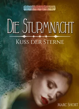 Marc Short Die Sturmnacht обложка книги