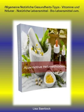 Lisa Baerbock Alternative Heilmethoden обложка книги