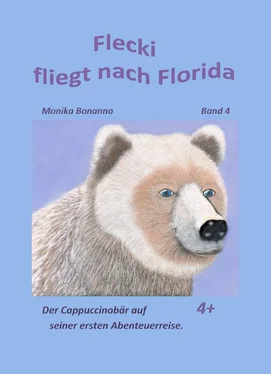 Monika Bonanno Flecki fliegt nach Florida обложка книги