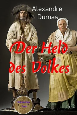 Alexandre Dumas d.Ä. Der Held des Volkes обложка книги