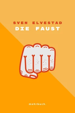 Sven Elvestad Die Faust обложка книги
