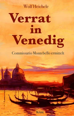 Wolf Heichele Verrat in Venedig обложка книги