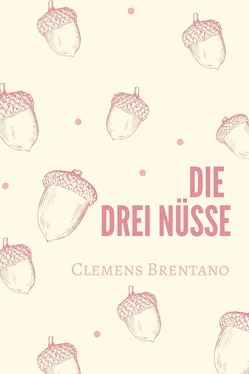 Clemens Brentano Die drei Nüsse обложка книги
