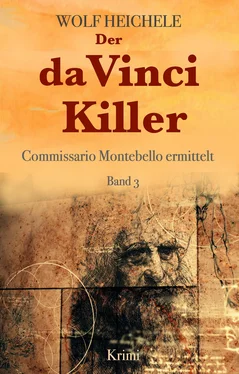 Wolf Heichele Der da Vinci Killer обложка книги