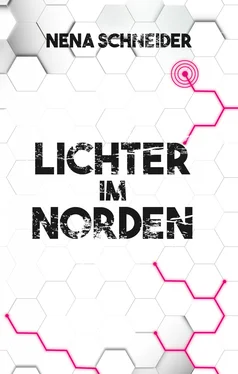 Nena Schneider Lichter im Norden обложка книги