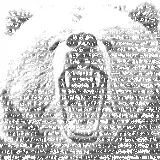 Ein riesiger Bär verwüstete das Biwak Eine ungeheure Kreatur wie sie wohl nie - фото 7