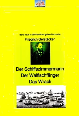 Friedrich Gerstäcker Friedrich Gerstäcker: Schiffszimmermann – Walfischfänger – Das Wrack обложка книги