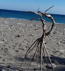 Christoph Güsken - Das Rubikon-Papier