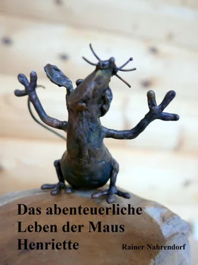 Rainer Nahrendorf Das abenteuerliche Leben der Maus Henriette обложка книги