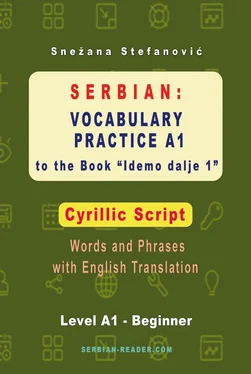 Snezana Stefanovic Serbian: Vocabulary Practice A1 to the Book Idemo dalje 1 - Cyrillic Script обложка книги