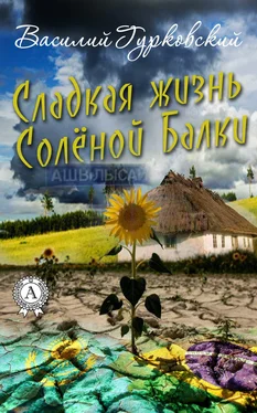 Василий Гурковский Сладкая жизнь Солёной Балки обложка книги