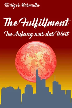 Rüdiger Marmulla The Fulfillment обложка книги