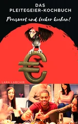Lara Labchir - Das Pleitegeier-Kochbuch