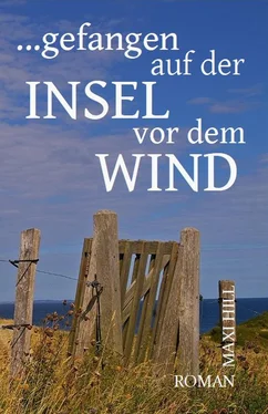 Maxi Hill Gefangen auf der Insel vor dem Wind обложка книги