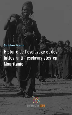 Saidou Kane Histoire de l'esclavage et des luttes anti-esclavagistes en Mauritanie обложка книги