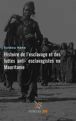 Saidou Kane - Histoire de l'esclavage et des luttes anti-esclavagistes en Mauritanie