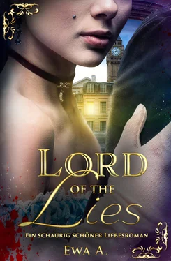 Ewa A. Lord of the Lies - Ein schaurig schöner Liebesroman обложка книги