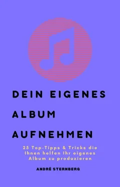 André Sternberg Dein eigenes Album aufnehmen обложка книги