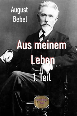 August Bebel Aus meinem Leben, 1. Teil обложка книги