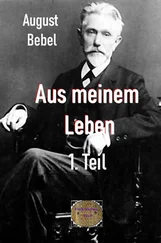 August Bebel - Aus meinem Leben, 1. Teil