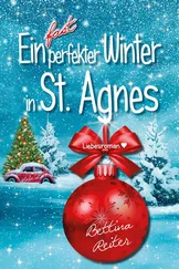 Bettina Reiter - Ein fast perfekter Winter in St. Agnes