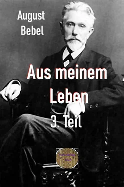 August Bebel Aus meinem Leben, 3. Teil обложка книги