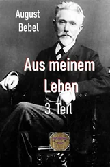 August Bebel - Aus meinem Leben, 3. Teil