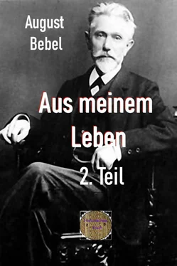 August Bebel Aus meinem Leben, 2. Teil обложка книги