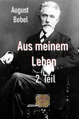 August Bebel - Aus meinem Leben, 2. Teil
