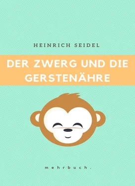 Heinrich Seidel Der Zwerg und die Gerstenähre обложка книги