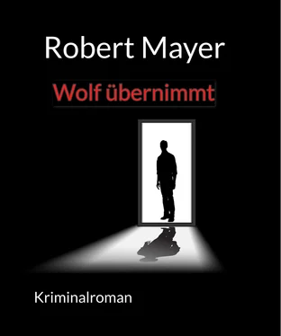 Robert Mayer Wolf übernimmt обложка книги
