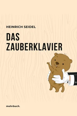Heinrich Seidel Das Zauberklavier обложка книги