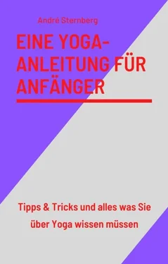 André Sternberg Eine Yoga-Anleitung für Anfänger обложка книги