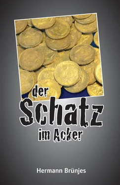 Hermann Brünjes der Schatz im Acker обложка книги