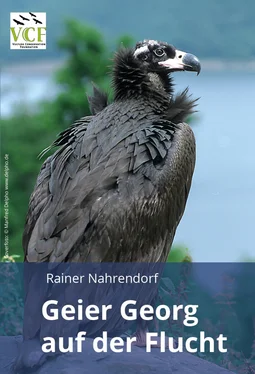 Rainer Nahrendorf Geier Georg auf der Flucht обложка книги