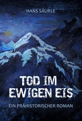 Hans Säurle - Tod im ewigen Eis
