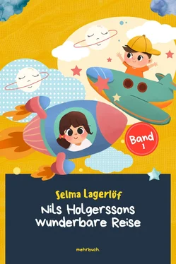 Selma Lagerlöf Nils Holgerssons wunderbare Reise обложка книги