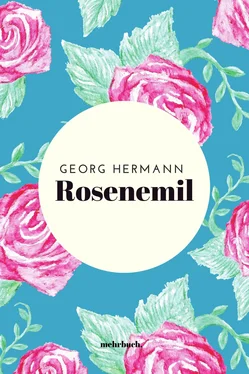 Georg Hermann Rosenemil обложка книги