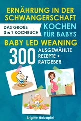 Brigitte Holzapfel - Ernährung in der Schwangerschaft | Kochen für Babys | Baby Led Weaning. 3 in 1 Kochbuch mit 300 ausgewählten Rezepten