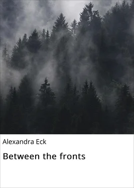 Alexandra Eck Between the fronts обложка книги