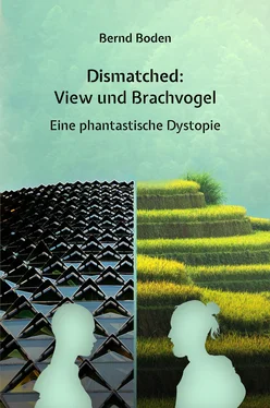 Bernd Boden Dismatched: View und Brachvogel обложка книги