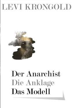 Levi Krongold Der Anarchist обложка книги